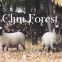 Clun Forest
